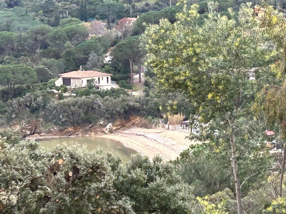 Suosogno Sul Mare 200Metri Dalla Spiaggia Capoliveri  Apartment